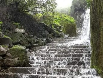 Visapur Forst