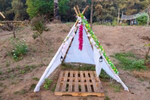 Palghar Beach Camping Save Tours