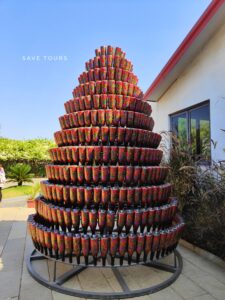 Sula Vineyards