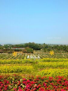 Sula Vineyards