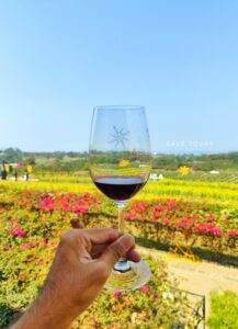 Sula Vineyards
