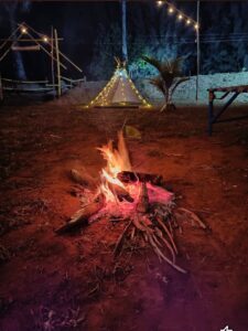 New Year Beach Camping in Palghar