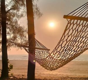 Palghar Beach Camping Save Tours
