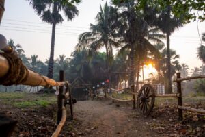 Palghar Beach Camping Save Tours