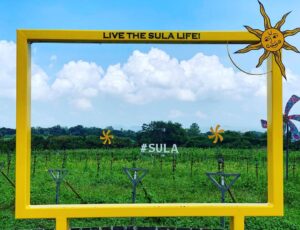 Sula Vineyards