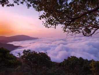 Harishchandra gad camping