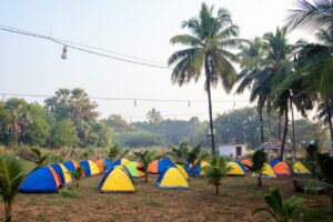Palghar Beach Camping Save Tours