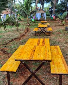 Palghar Beach Camping Save Tours