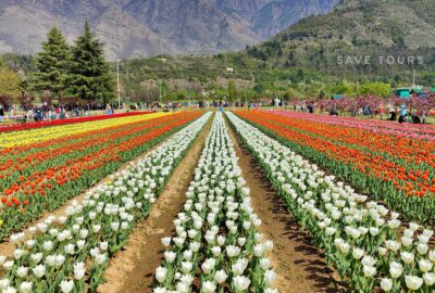 Kashmir Trip Save Tours